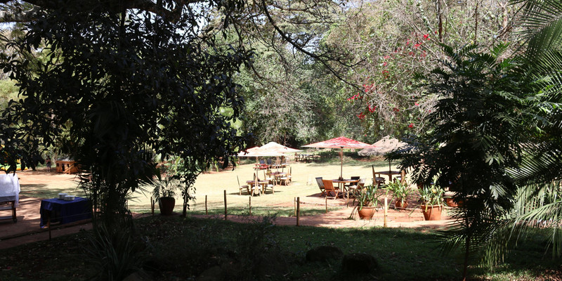 the purdy arms 4.jpg