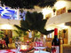 hotel-casamara.jpg