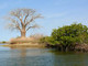 parc-national-du-delta-du-saloum.jpg