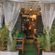 Aléva Café
