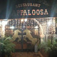 Appaloosa