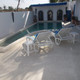 Auberge Des Cocotiers