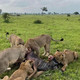 Baraza