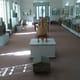 Cirta Museum