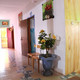 Complexe Baobab Hotel Ziguinchor
