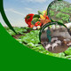 Ferme Pédagogique Tshanfeto