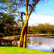 Fish Eagle Inn