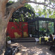 Freedom Cafe