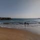 Garden DONA BEACH