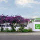 Goethe institut 
