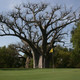 Golf De Saly
