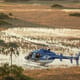 Helicopter Horizons