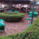 Jardin de l'Unité Africaine