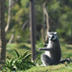 Jardin Zoologique de Rabat