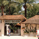 Le Balafon