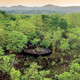 Le n’zi river lodge