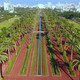 Le Parc de la Ligue Arabe