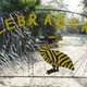Le Zebrabar
