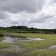 Les îles ehotilé