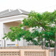 Madume Guest House
