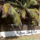 Mitsou Beach Club