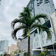 Noom Hôtel Abidjan Plateau