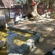 Oran Zoo