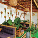 Osiris resto lounge