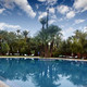 Palmeraie resorts