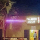 Palmier du 29