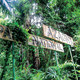Parc national d’Azagny