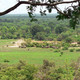 Le parc national de Taï
