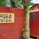 Pura Vida Café
