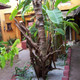 Residence Mamikan