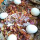 Restaurant Boblawende
