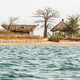 Delta du sine saloum