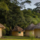Taï forest lodges