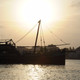 Tamarind Dhow