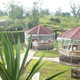 The Old House