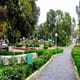 Tifariti - Laperlier Garden