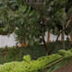 Tiger Trail At Hotel Royal Orchid