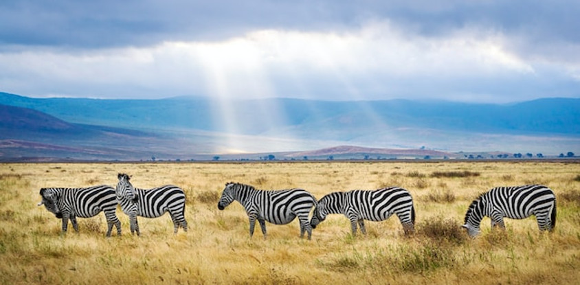 4-day tanzania camping safari