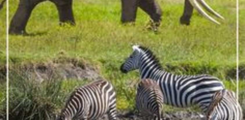 9 Days Wilderness Botswana and Victoria Falls from Windhoek (Lodging)