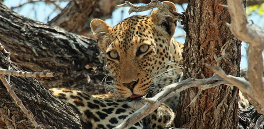 3 day tanzania wildlife safari