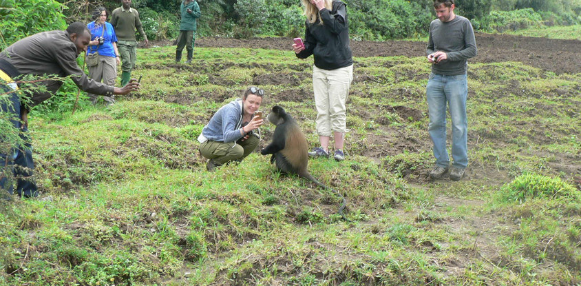 4 days rwanda gorilla tour experience 