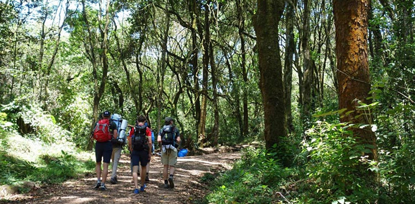 6 days mount kilimanjaro trekking via machame route