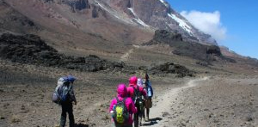 13 day gorilla, chimpanzee trekking and climbing rwenzori mountains adventure