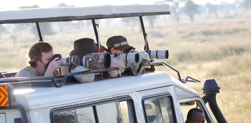 8 DAY TANZANIA BIRDS WATCHING SAFARI