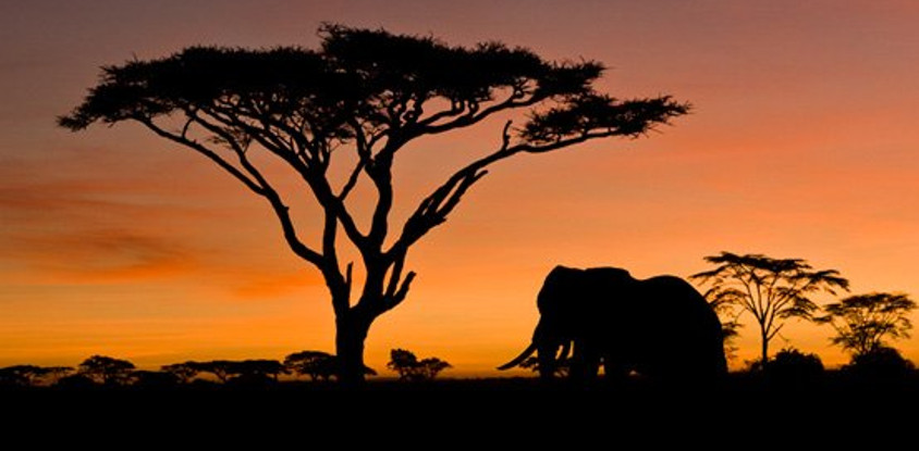 4 days masai mara budget camping safari