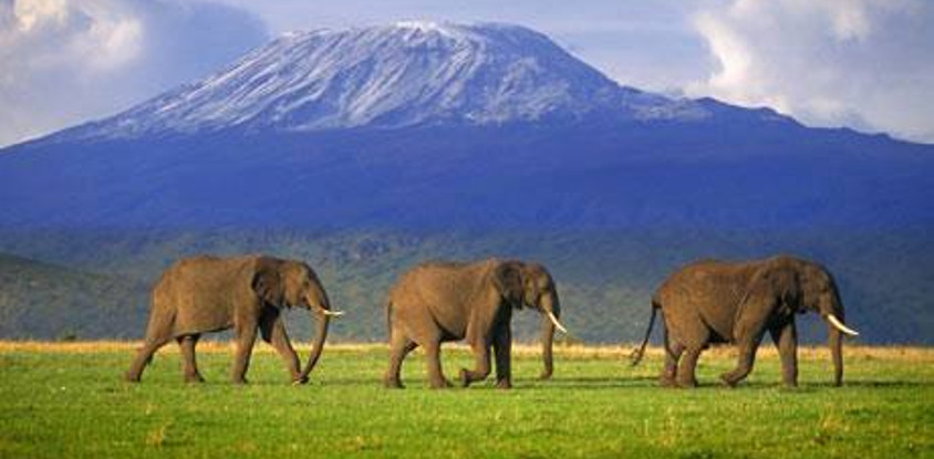 9 DAYS 8 NIGHTS KENYA SAFARIS 